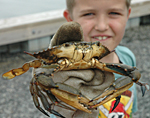 Photo: Boy holding a crab.