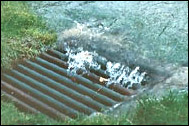 Photo:  stormwater drain.
