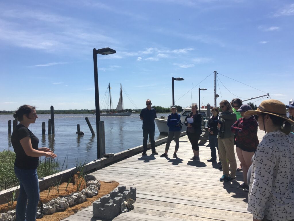 Lecture on docks.